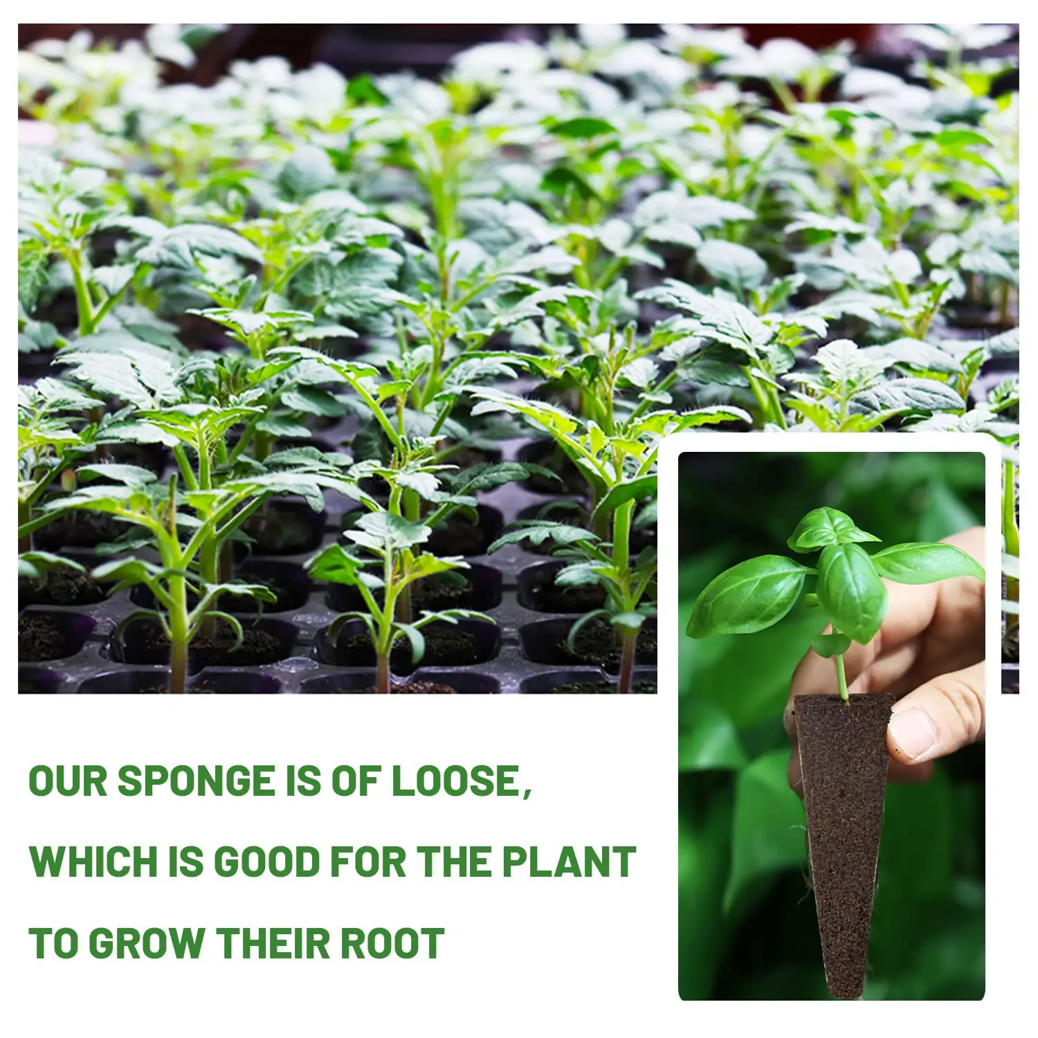 

Губки для гидропонного выращивания семян, 100 шт., сменные губки для роста корней, стартовые губки для рассады