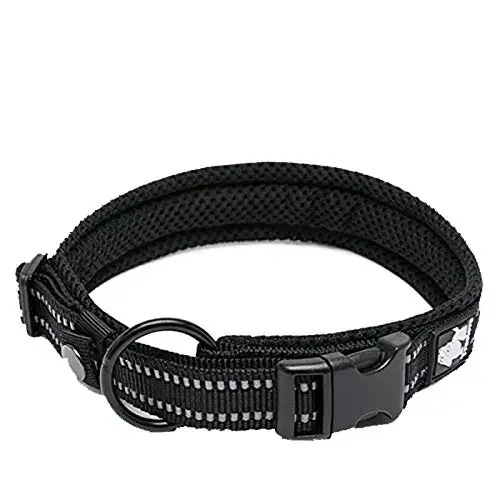 Truelove Pet Dog Collar Nylon Ajuste Correio Ajustável Solftivo Reflexivo Durável Treinamento para Defusos Pesados Cat Personuz TLC5011