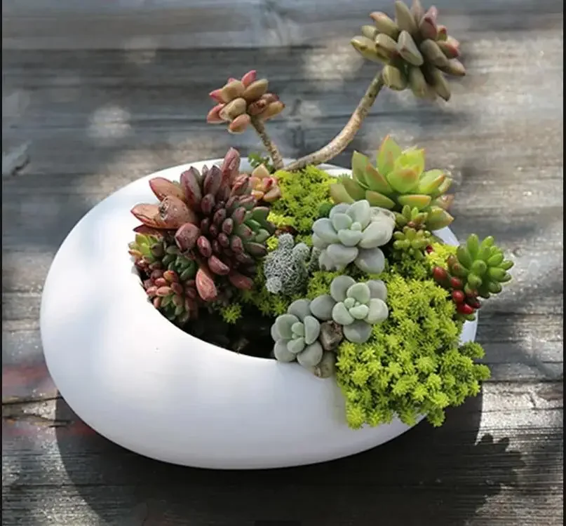 

Oval Ceramic Succulent Pot Garden Supplies Balcony Flowerpot Plant Pots Planters Landscaping Potted Flower