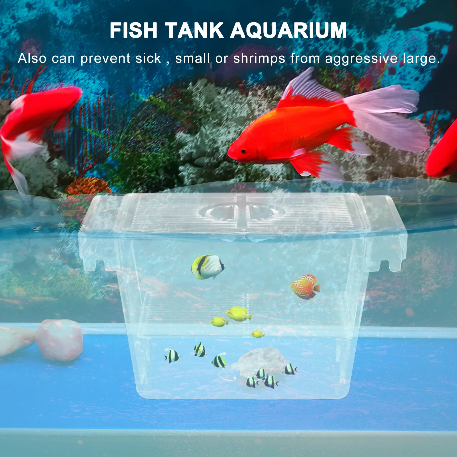 

Aquarium Breeding Incubator Box Acrylic Nursery Fish Hatchery Isolation Fry Protection Tank Separator Box Aquarium Nursery