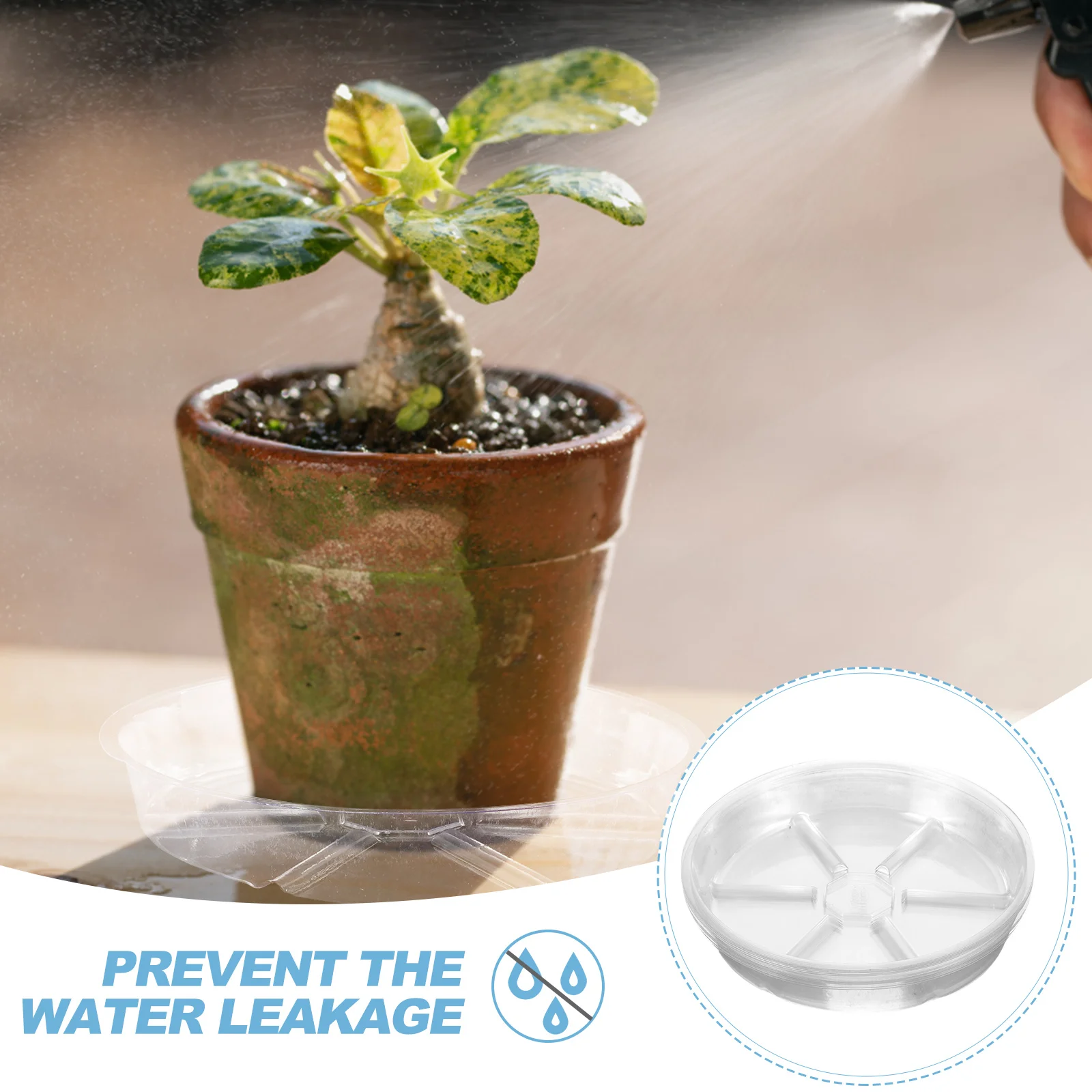 

10pcs Plant Saucers Plastic Water Trays for Flower Pots Round Drainage Tray Flowerpot Catcher Holders Garden