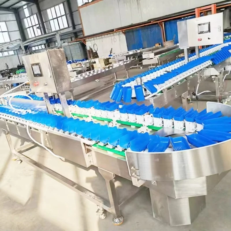 Automatic High Precision Weight Sorting Machine Multi Grade Weight Grader for Food Seafood Fruit Vegetable Grading