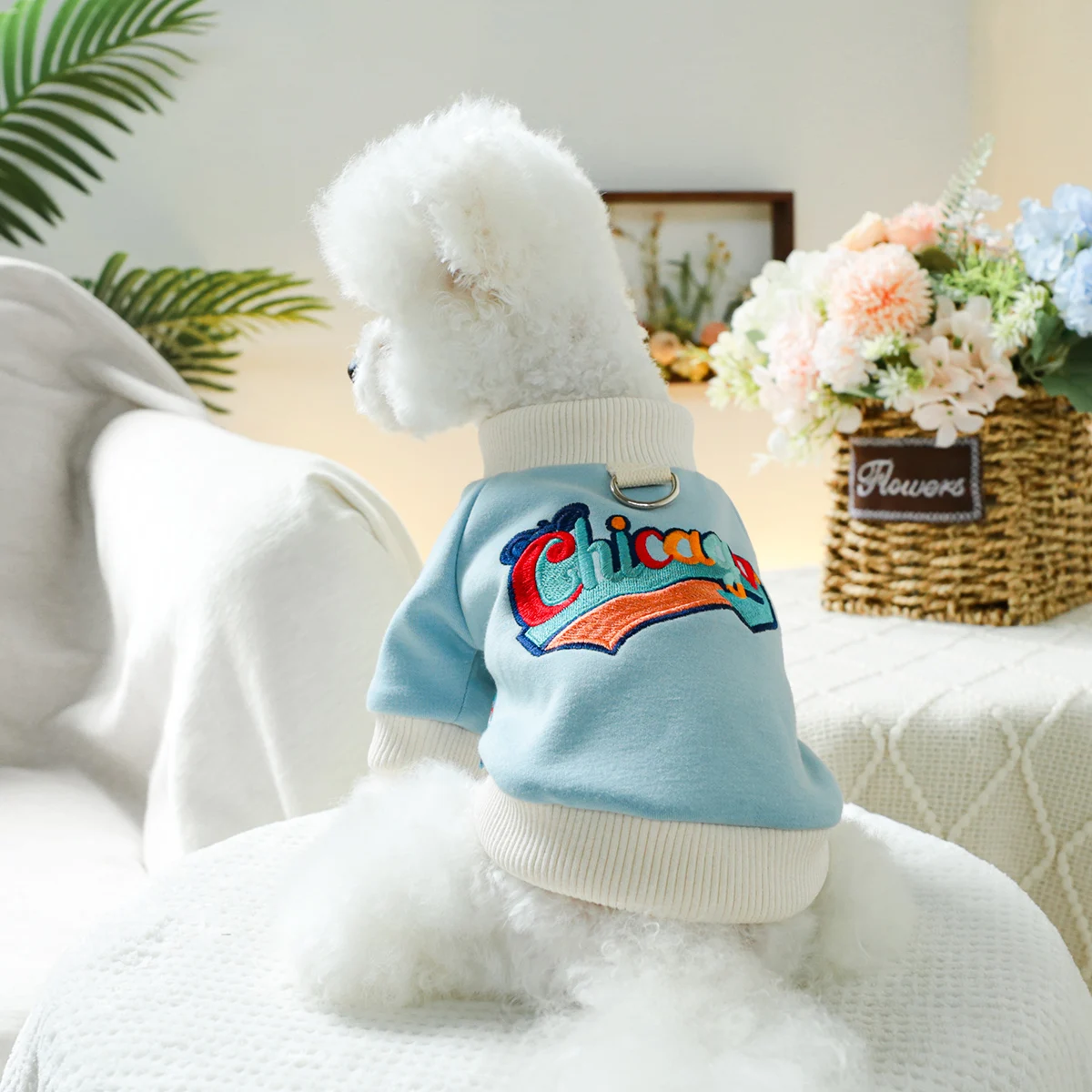 1PC Pet Clothing Spring and Autumn Velvet Hoodie Blue Color Chicago Hoodie Suitable for Small and Medium sized Dogs