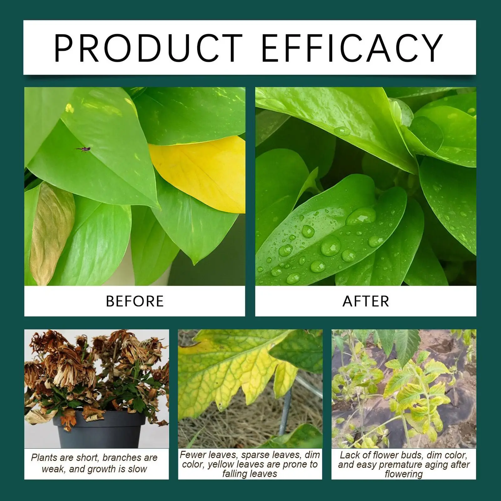 Gouttes pour plantes, supplément liquide d'enracinement, stimulateur de racines pour plantes, pour jardin intérieur et extérieur, culture hydroponique, 100ml