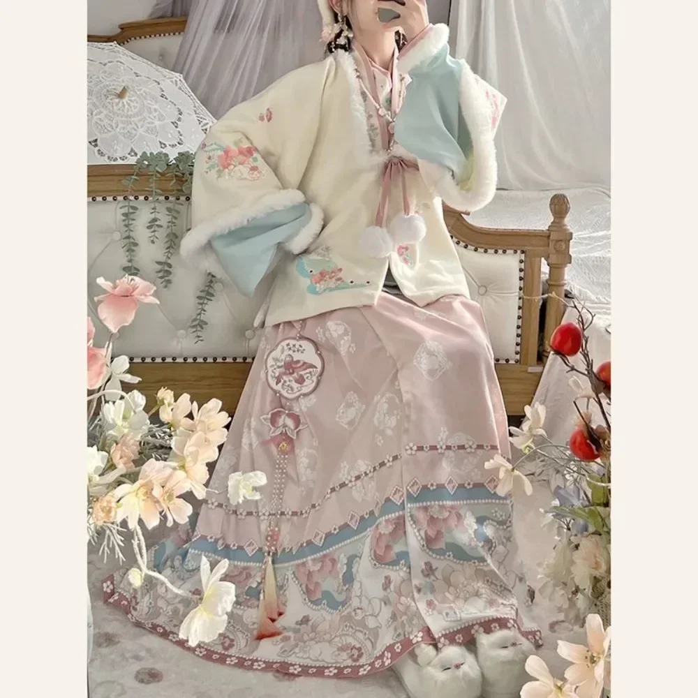 Bordado chinês Hanfu Vestuário, Ano Novo Chinês, Ano Dragão, Inverno Hanfu, Dinastia Ming Pen Holder, Roupa de pelúcia tradicional