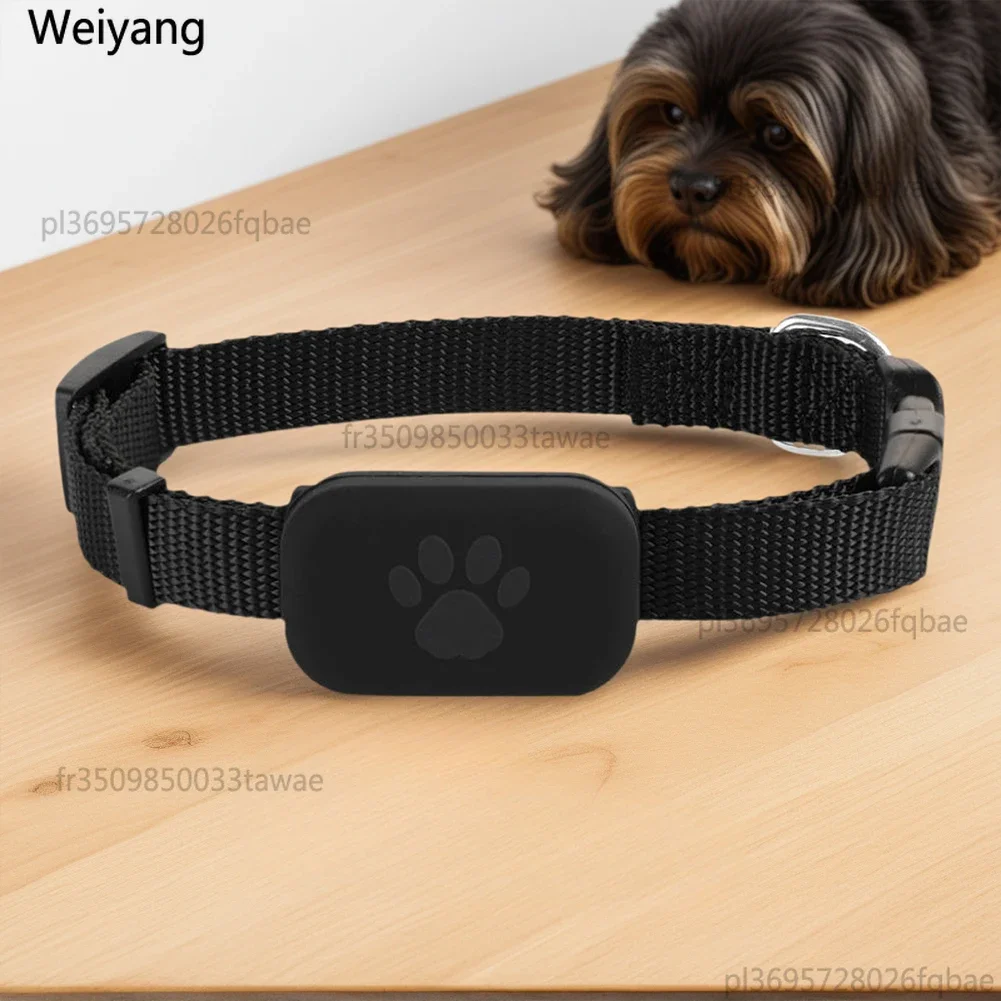 Localizador GPS para Mascotas - Collar Ajustable, Rastreo en Tiempo Real 🐾
