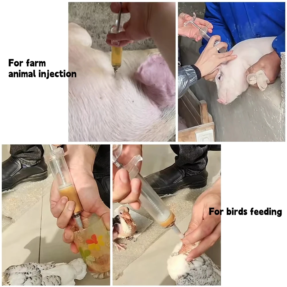 10ml/20ml/50ml Bird Feeding Syringe Parrot Pigeon Manual Feeder Stainless Steel Elbow Gavage Tube Small Pet Feeding Tools