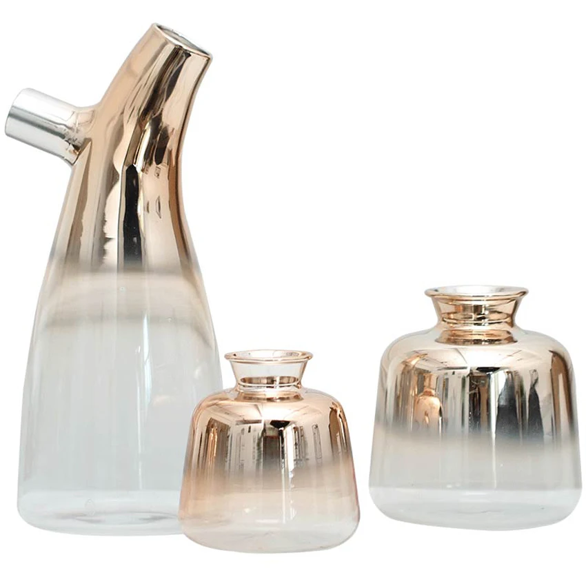 Nordic Style Home Decor Clear Glass Vase Desktop Golden Bottle for Flower Plant DIY Terrarium Hydroponic Container Room Decor