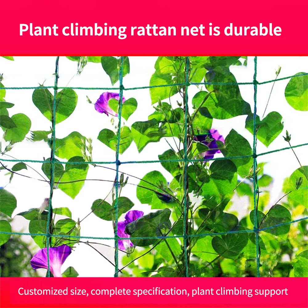 Garden Plants Climbing Net Polyester Net Morning Glory Flower Vine Netting Support Net Grow Net Holder Trellis Netting Multi Use