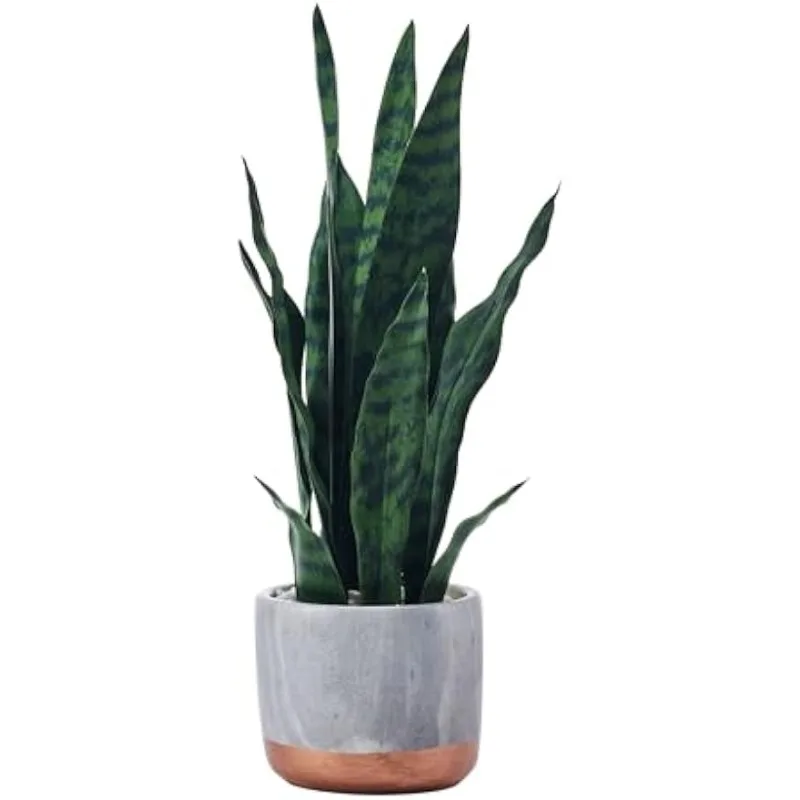 

Snake Plant in Faux Gray Marble Pot for Bathroom Farmhouse Faux Greenery Tabletop Centerpiece Mantel Office Desk Kitchen