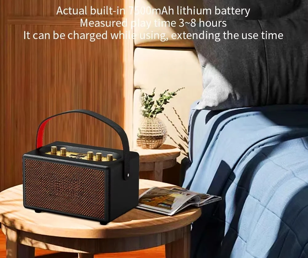 T9  V5.3  Stereo Bass KTV Speakers 2 Microphones Music Wireless Portable Speaker with Mic for Party