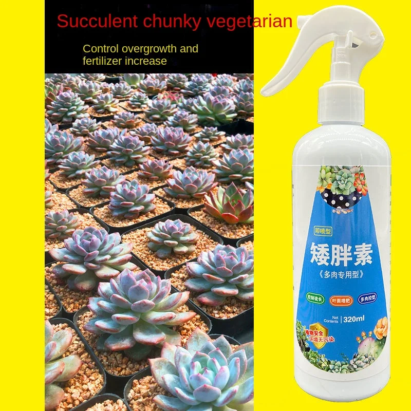 Succulent plant Eugenin promotes budding, dwarf fat, prevents leggy organic granules, succulent, and succulent 320ml