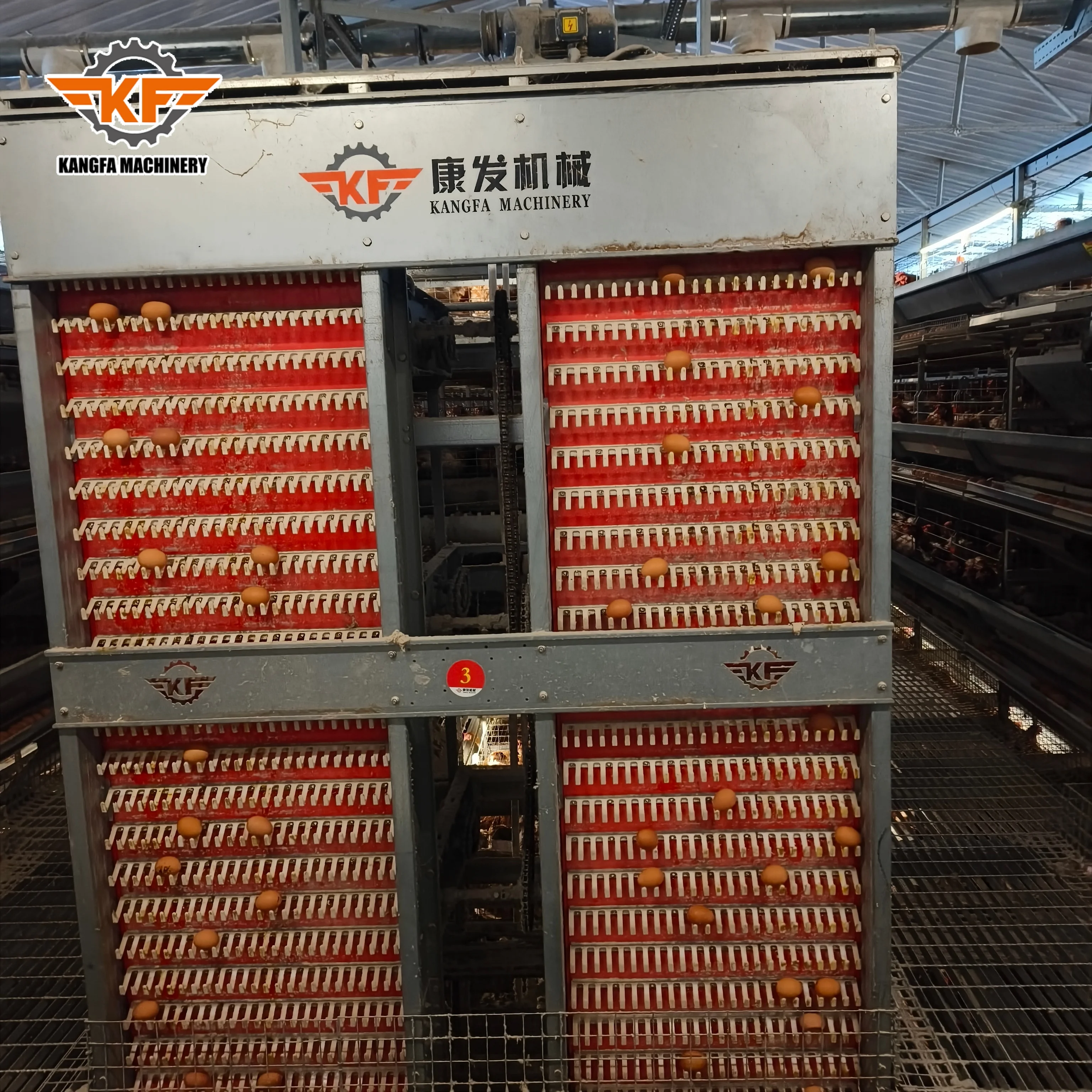 New Factory Sale Automatic Egg-collecting System H Type 4 Tiers Hot Dip Galvanized Steel Layer Poultry Battery Cages 5 Year