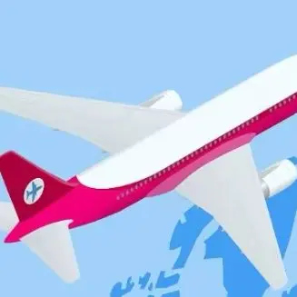 

Customs duties and fees of various countries 5