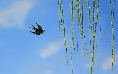 

Металлические детали для модернизации RC-машинок, балки-опоры, подходят для радиоуправляемых машинок MN 1/12 TK300 MN300, аксессуары.