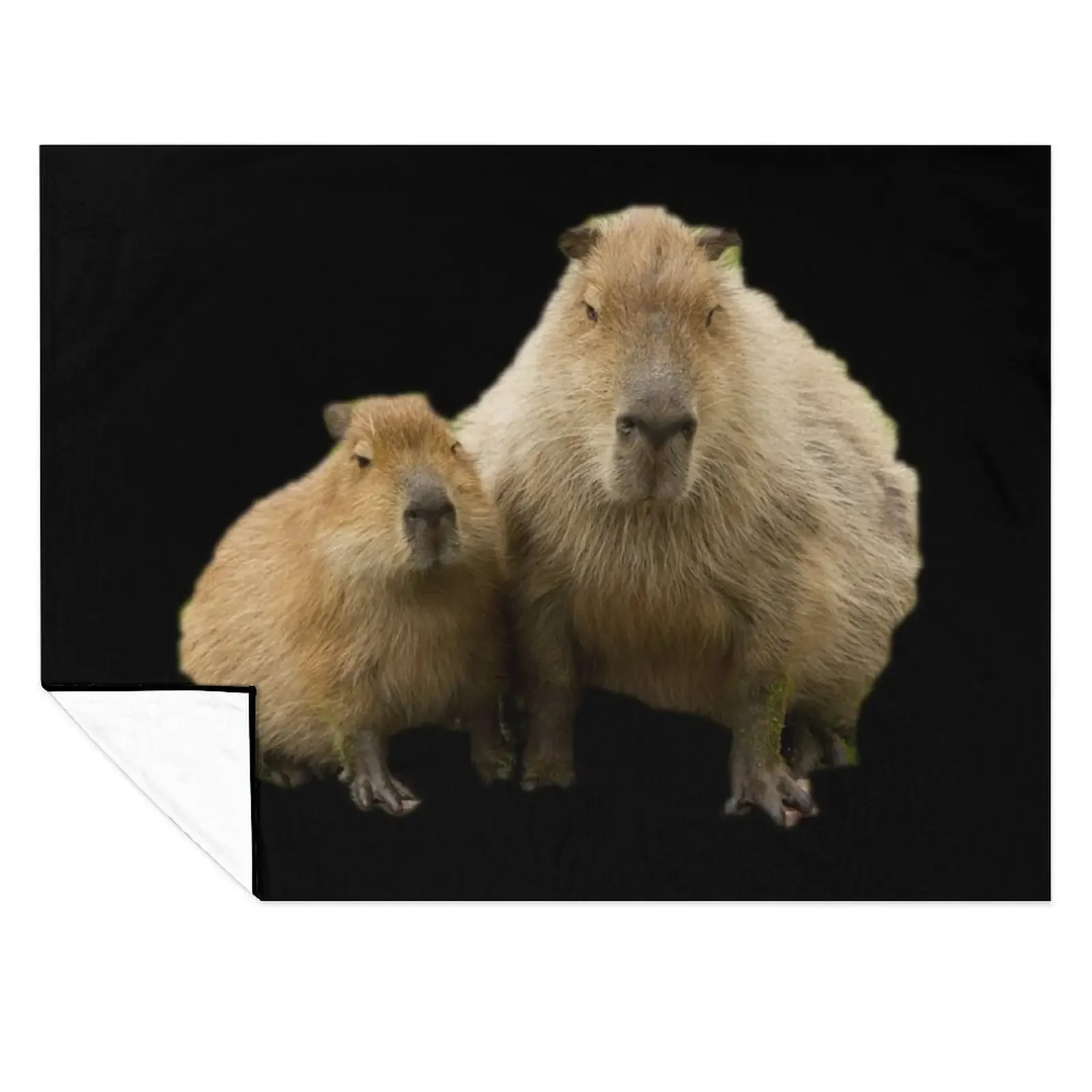 

Capybara Mom & Baby Throw Blanket Decorative Beds for sofa Luxury St Moving Blankets