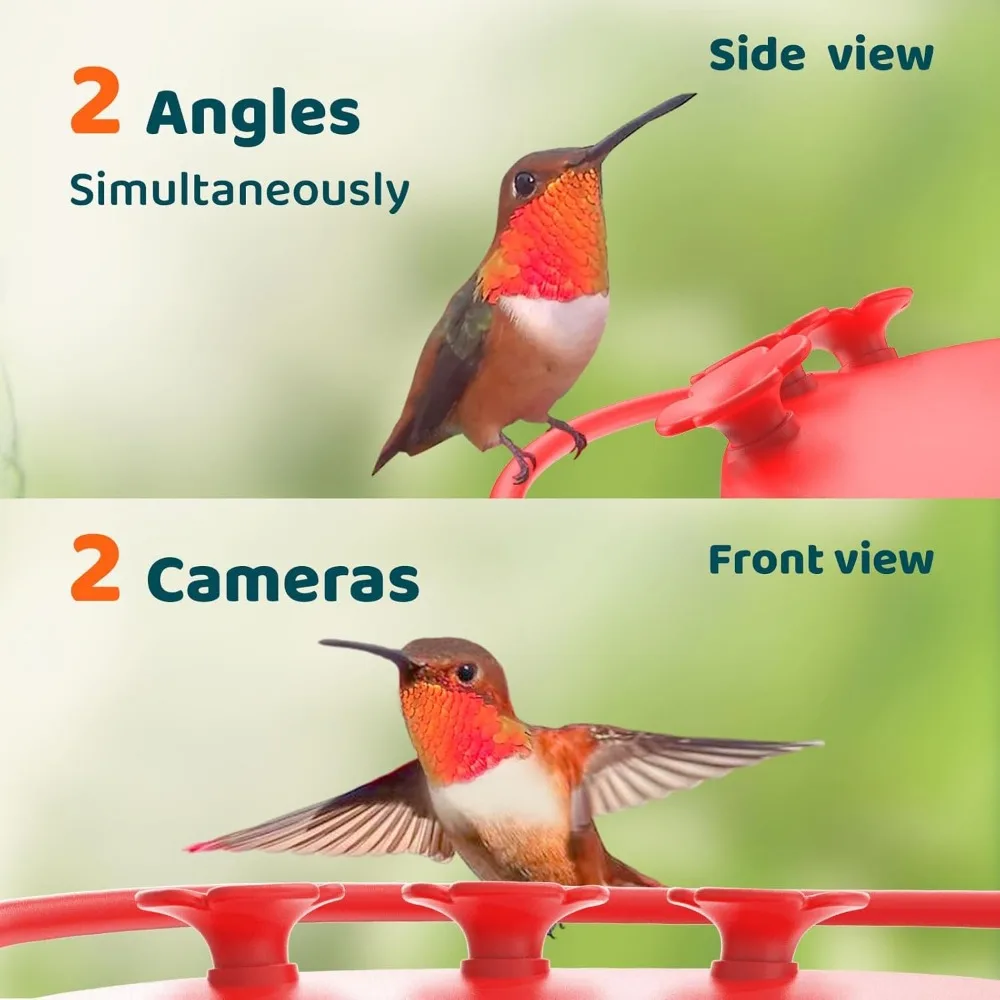 Birdfy®Mangiatoia per colibrì con fotocamera-doppia fotocamera intelligente 2K, birdwatching Close-Up, AI a vita identifica il colibrì