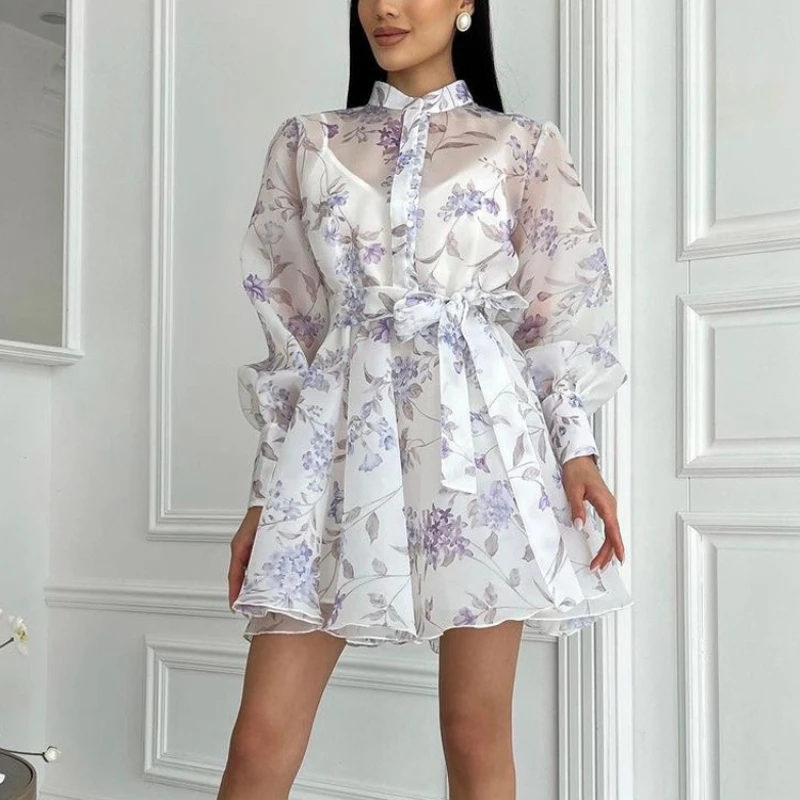 

2026 Summer New Product Elegant Stand up Collar Long Sleeved Lace up Printed A-line Dress for Women