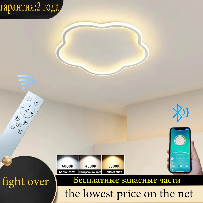 

Ceiling Pendant Light LED Living Room Pendant Light Bedroom Ceiling Light APP Intelligent Dimming Light Restaurant Hotel Indoor