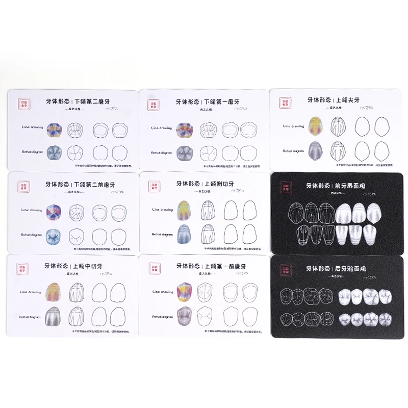 9pcs Dental Composite Resin Filling Practice Board Teeth Template for Dentist Anterior & Posterior Cavity Restoration Stack