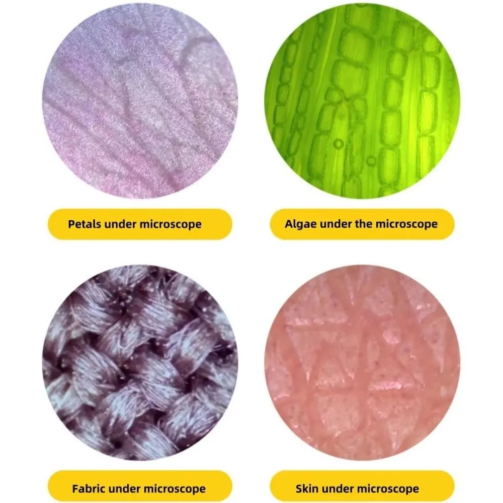 Kids Science Toy Portable Microscope Zoom 60x-180x with LED Light Mini Handheld Microscope Handheld Little Scientist Microscope