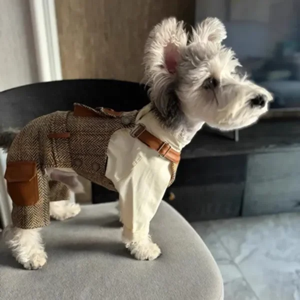 เสื้อผ้าสุนัข สไตล์อังกฤษ ชุดเอี๊ยมลายทางสำหรับสัตว์เลี้ยง ชุดจั๊มสูทแบบสลิงสำหรับลูกสุนัข พร้อมกระเป๋า