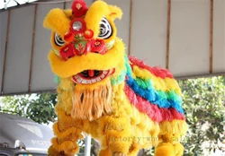 Handmade Chinese Folk Art Lion Dance Mascot Costume For Two Adults Cosplay Party Dress Clothing Advertising Carnival Christmas