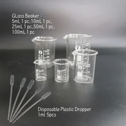1set Lab Borosilicate GLass Beaker 5mL 1 pc,10mL 1 pc,25mL 1 pc,50mL 1 pc,100mL 1 pc,Disposable Plastic Dropper 1ml 5pcs