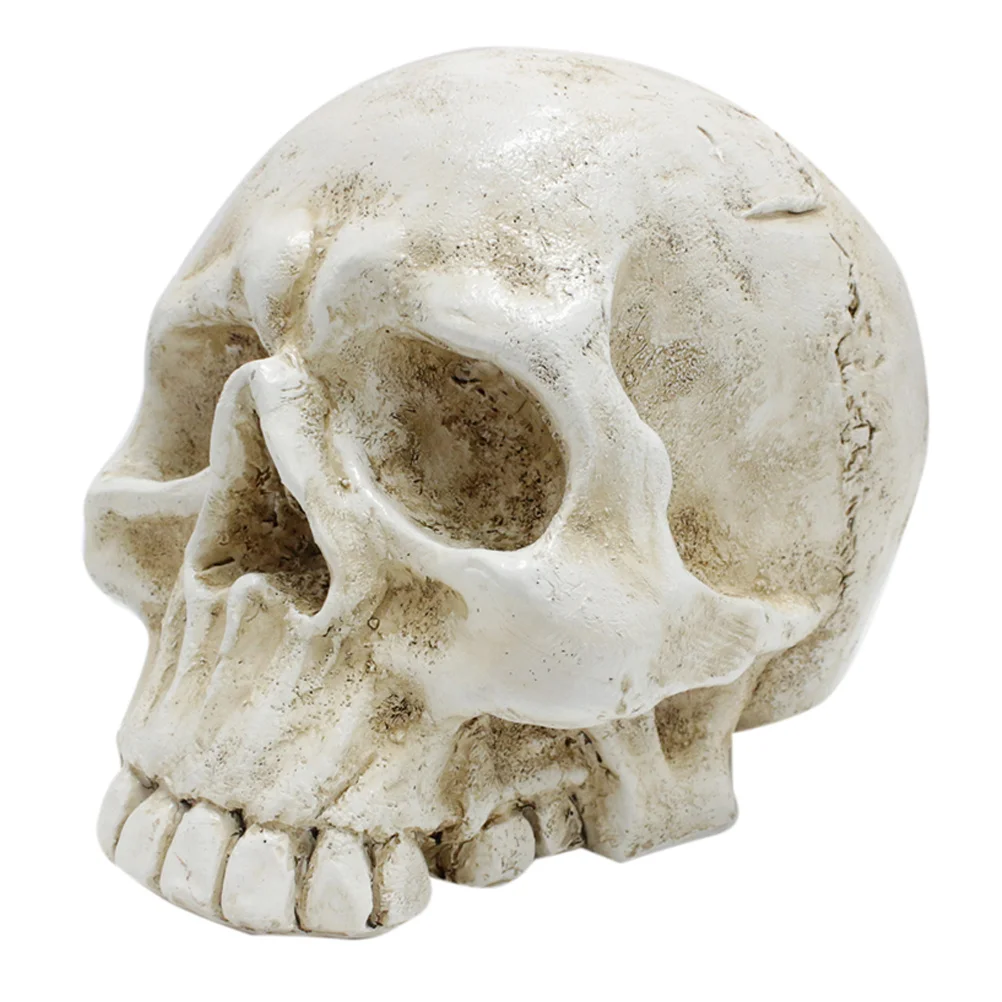 

Halloween Skull Table Centerpiece Resin Craft Head Ornament Party Decoration Scary Skull Decor Desktop Home
