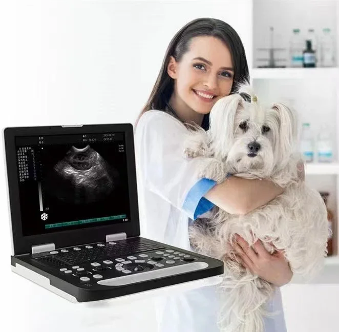 

MTRSN50 Vet Animal Use ultrasound transducer Veterinary full digital ultrasonic diagnostic instrument