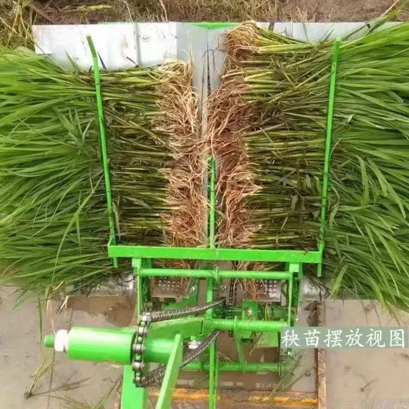 Rice transplanter Hand-cranked rice New two-row transplanter Small rice transplanter Planter Agricultural farming machinery