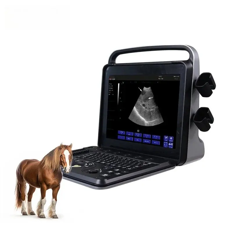 2026 Periodmed hot sale portable ultrasound veterinary  cheap  for veterinarian