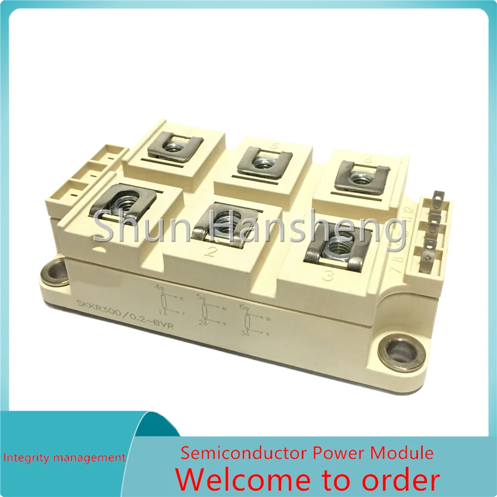SKKR400/0.2-BVR SKKR300/0.2-BVR SKKR200/0.2-BVR  SKKR800/0.1-BVR Brand new rectifier bridge module