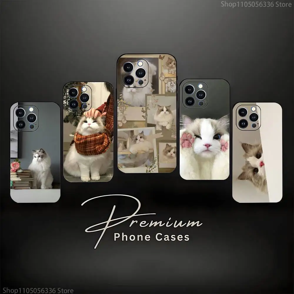 

Ragdoll Kitten Cat Phone Case For iPhone 16,15,14,13,12,11 Plus,Pro Max,XS,X,XR,SE,Mini,8,7,Soft Silicone Black Cover