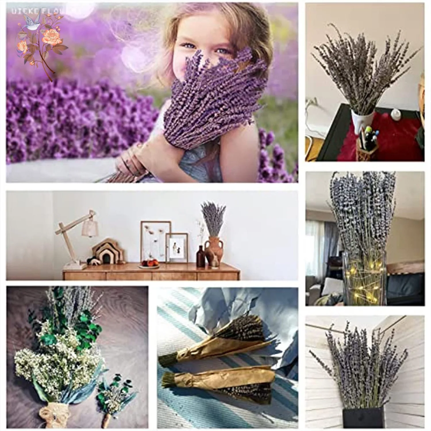 50/100g Natural Dried Lavender Flowers Bundles Weding Arrangements Boho Home Garden Table Decoration Fragrance DIY Crafts Gift