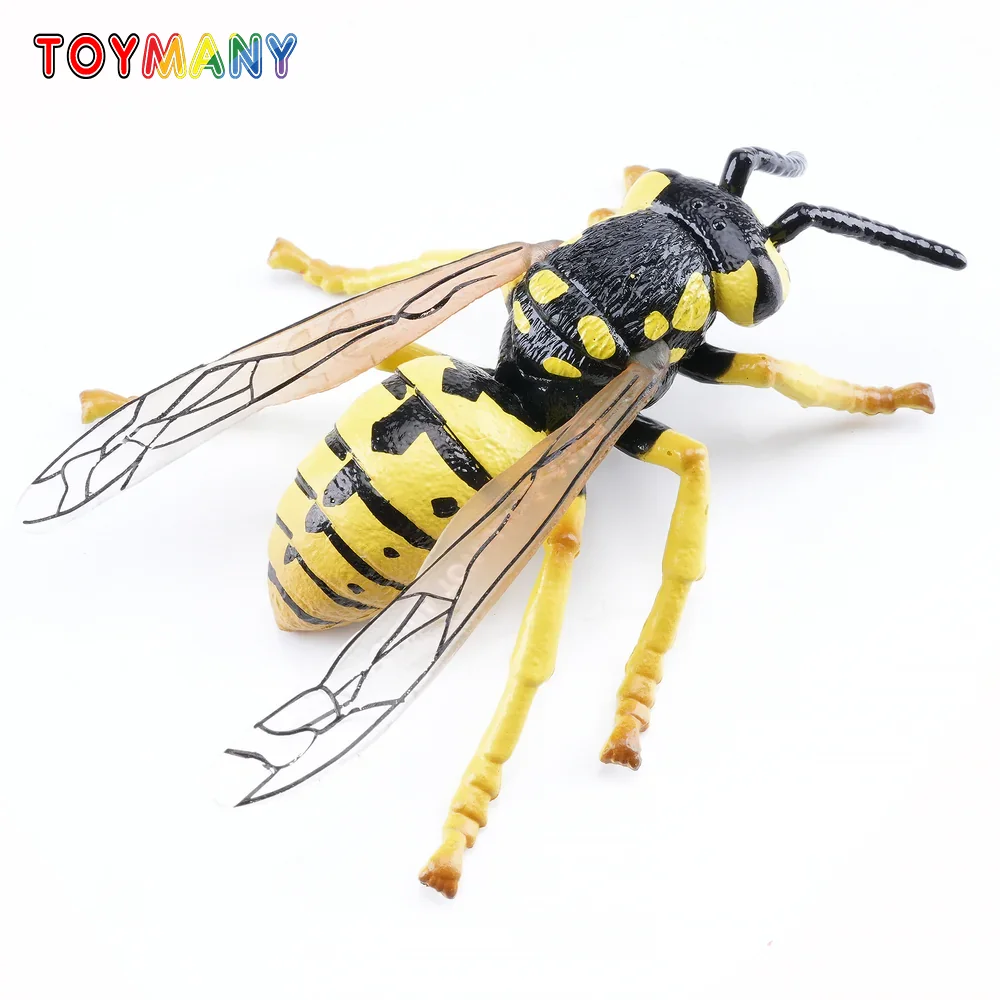 

Toymany Simulation Insect & Beetle Wasp Animal Model Toy Mini Figures Dolls Action Figurines Toys Children Gift Cake Decor