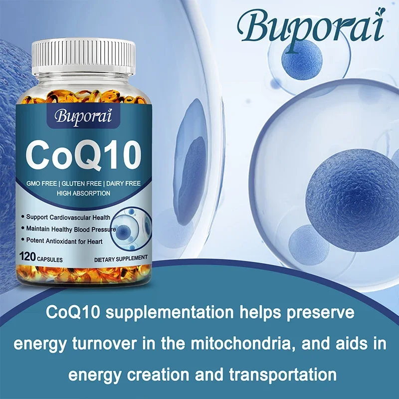 Coenzyme Q-10 - Natural Antioxidant Promotes Heart Health and Cellular Energy, Beneficial Absorption, Immune System