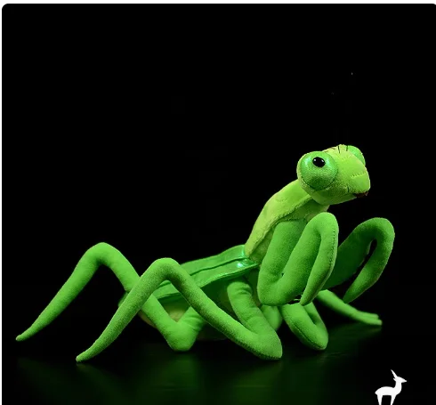 

Simulation Mantis High Fidelity Anime Cute Plushie Chinese Mantid Plush Toys Stuffed Doll For Children Birthday Gift