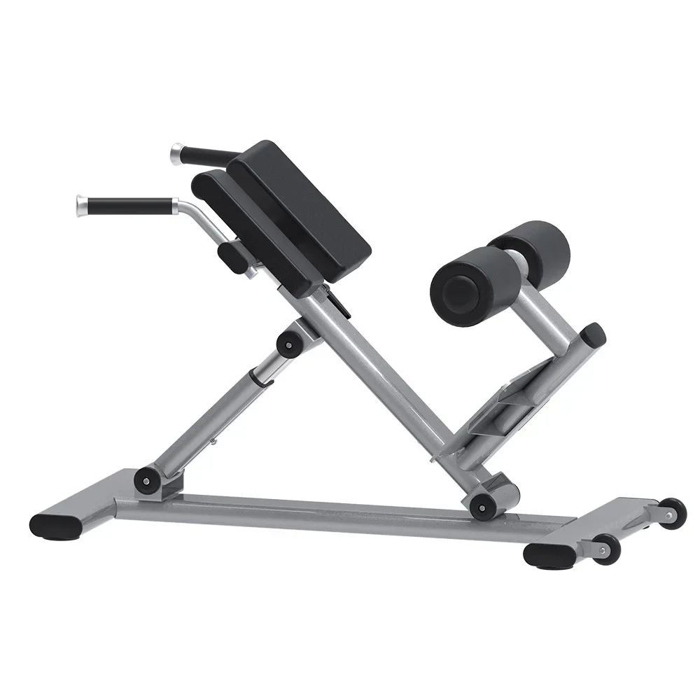 

Factory directly sale Gym commercial roman chair high quality abdominal muscle trainer for strength training fitness equipment