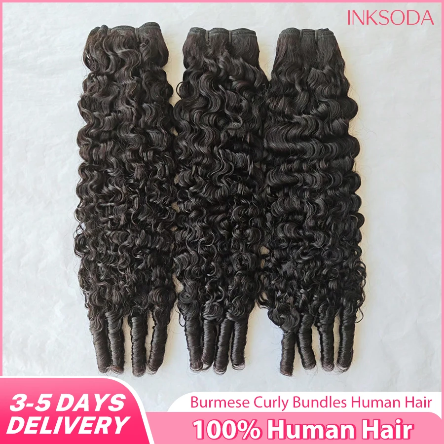 Burmese Curly Human…