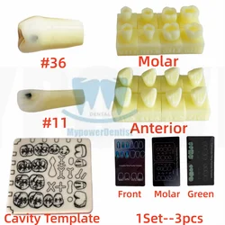 Dental Cavity Preparation Hole Practise Model Filling Template /Vitro Decay Caries Model/Composite Resin Filling Model