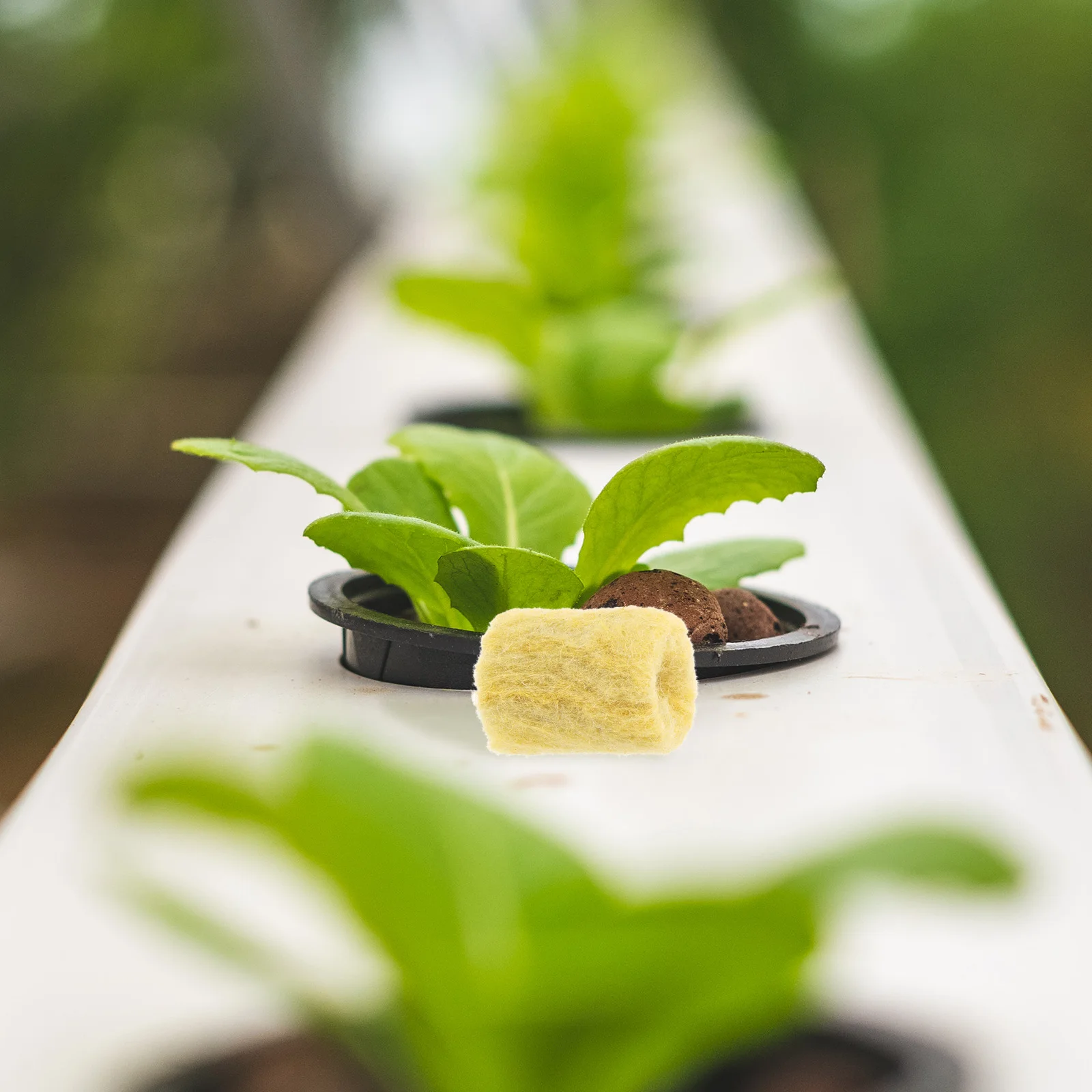 

50pcs Cubes 27x20mm Seedling Pots Soilless Cultivation Medium Gardening Supply Practical Nutrient Block Grow Starter