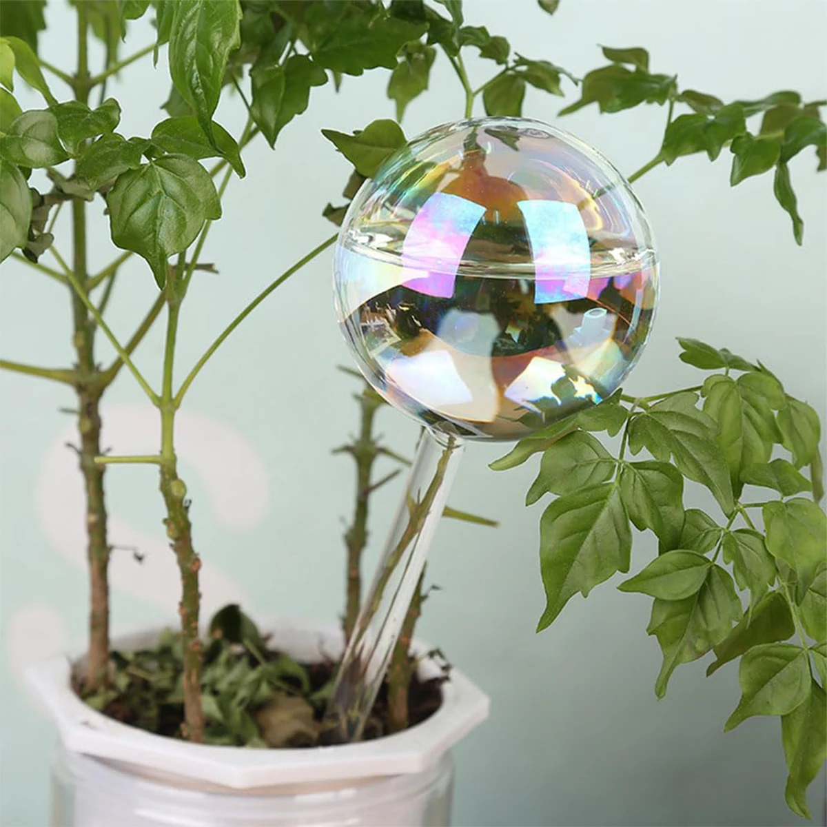 2 Pcs Self Watering Bulbs Automatic Plant Watering Globes Slightly Iridescent Rainbow Gradient Clear Glass Self Watering System