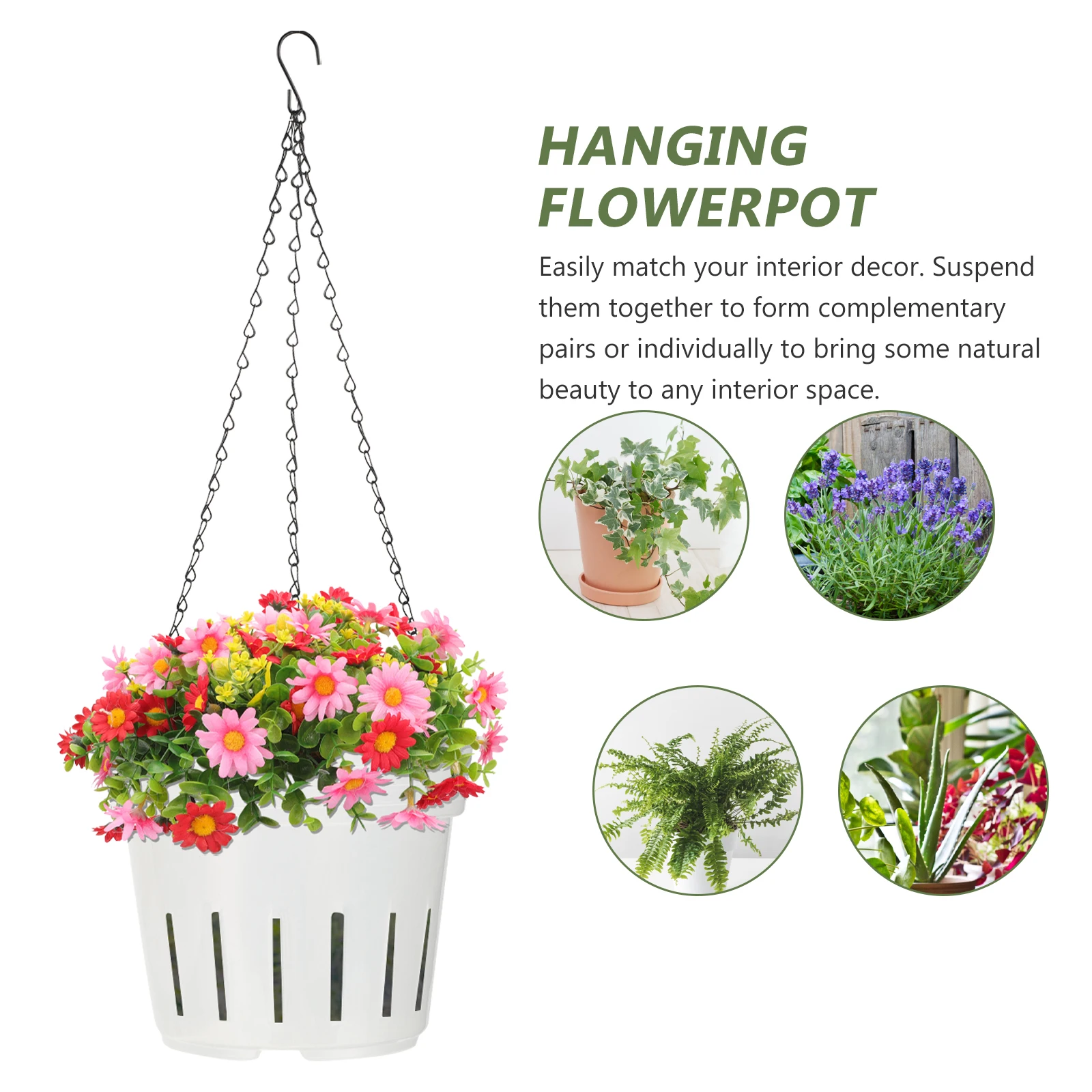 

2pcs Root Control Pot Transparent Plant Cups for Orchid Hanging Balcony Decor Nursery Pots Plastic