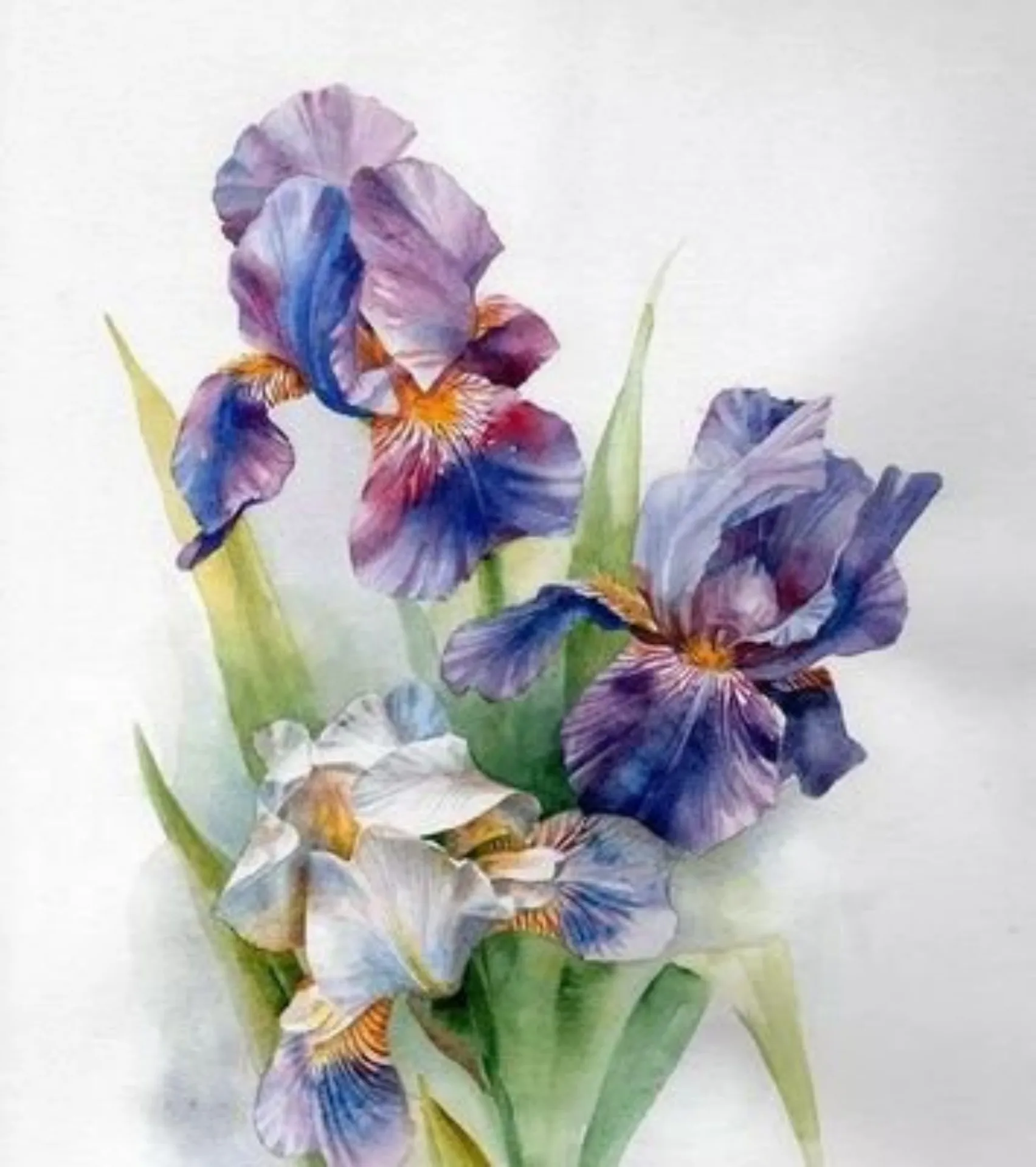 300462-Romantic Floral Hand Paint By Numbers Home Decoration Art