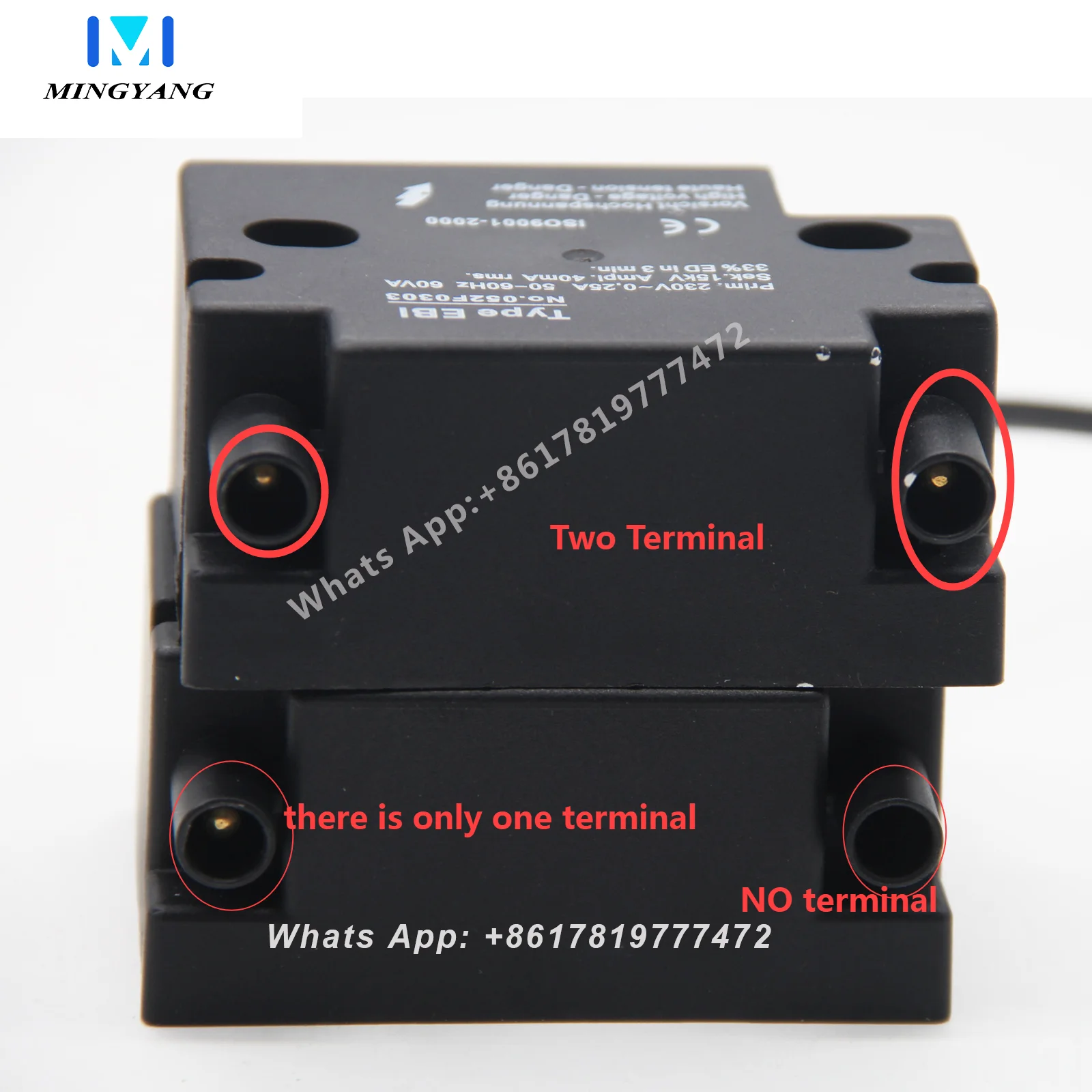 TYPE EBI-052F0303 Ignition Transformer 220V/230V 50HZ