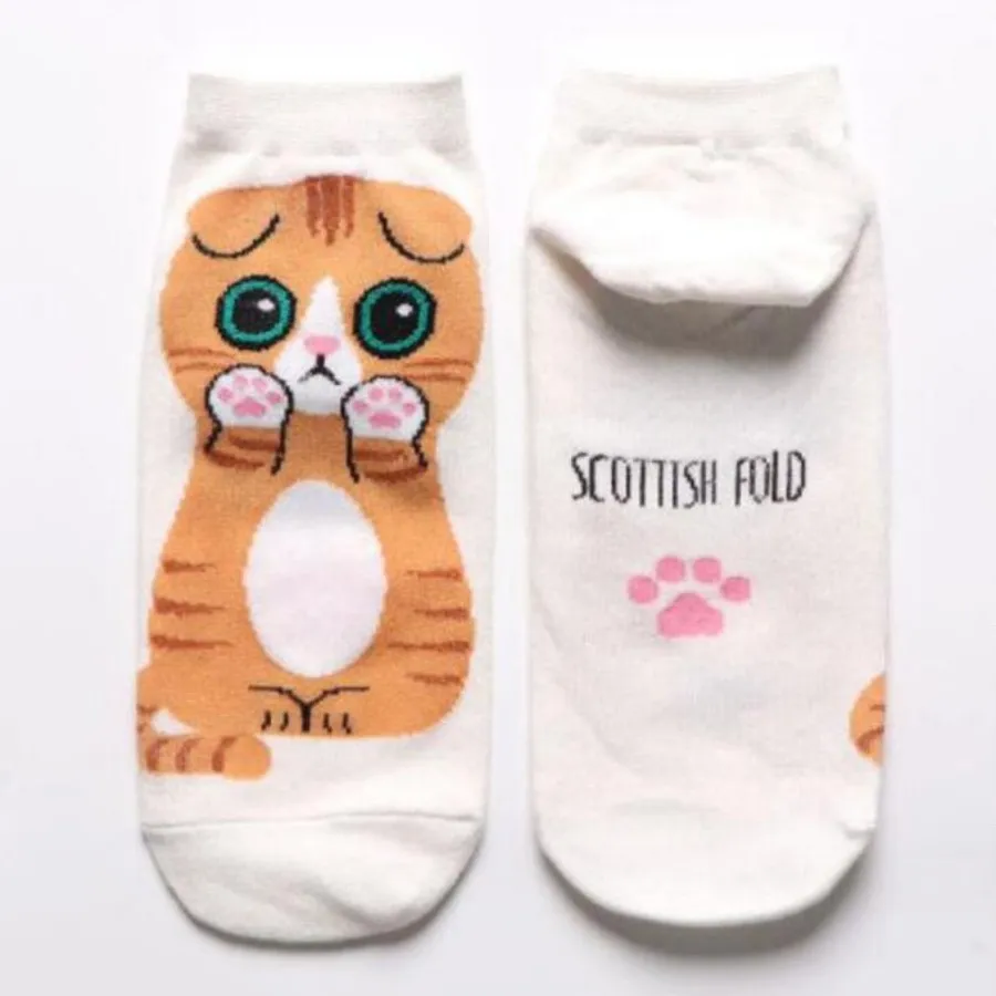 MYORED 5pairs cartoon female socks cotton socks slippers creative panda bear novelty gift socks Calcetines de dibujos animados