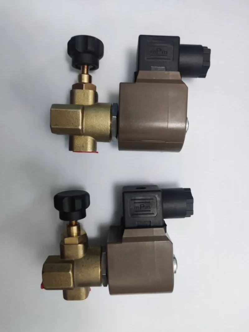 DL-6F 8Bar Boiler Special Adjustable Solenoid Valve Electric Heating Steam Boiler Iron Fittings 220V/50HZ G1/4