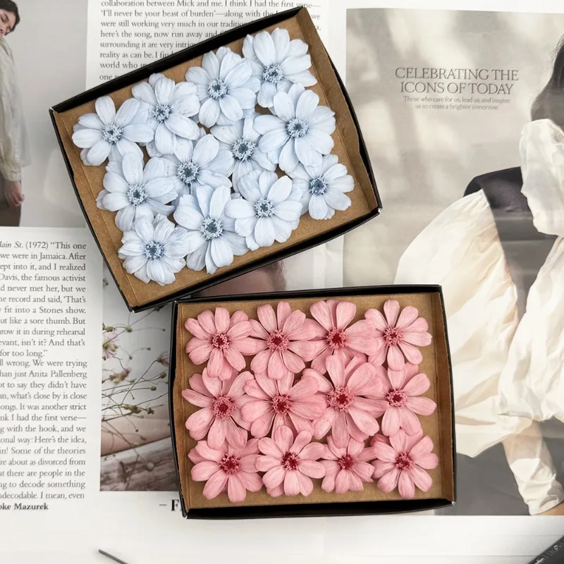 

12pcs Preserved Flowers Larkspur Wild Chrysanthemum Real Flowers DIY Photo Frame Aromatherapy Creative Gift Home Decoration