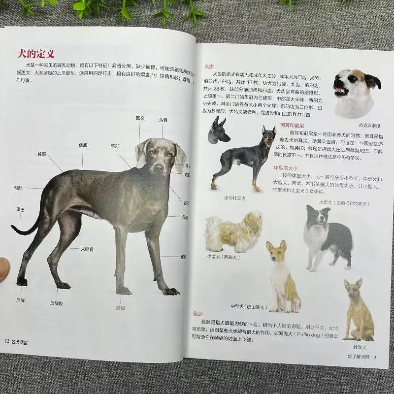 Guide to Famous Dogs, Pet Dog Feeding Knowledge, Dietary Care, Pet Dog Characteristics and Habits Complete Collection of Books